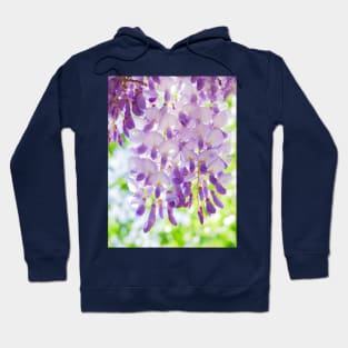 A Bright Sunshiny Day Hoodie